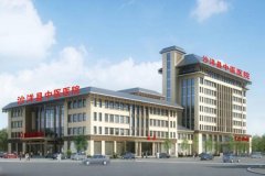 沙洋县中医院